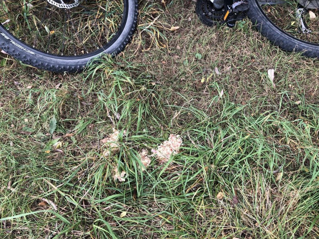 Fahrrad mit erbrochenem Gyros bzw. Pommes